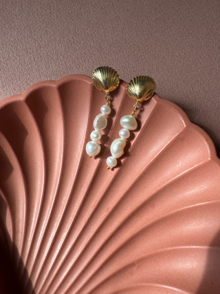 Long Shell - Earrings