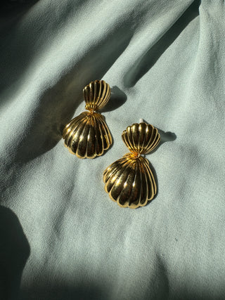 Big Shell - Earring