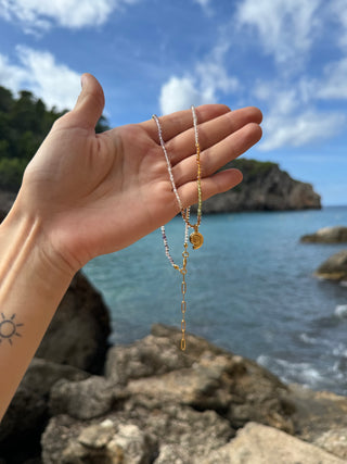 Colorful Petit Shelly - Necklace