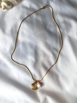 Golden Shelly - Necklace